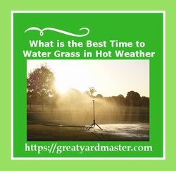 best time to water grass in hot weather