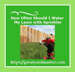 how often should I water my lawn with sprinkler system