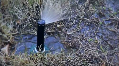 how often to water lawn with sprinkler system