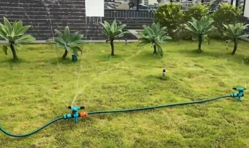 best time to water st augustine grass