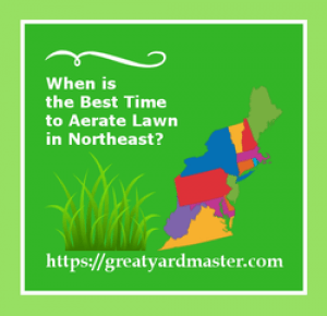 when is the best time to aerate lawn in northeast