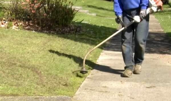 stick edger vs walk behind