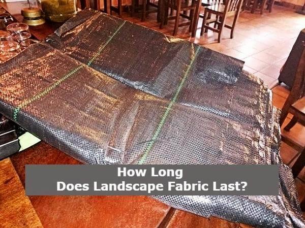 how long does landscape fabric last