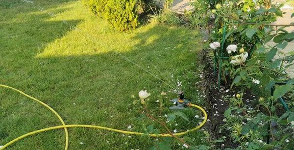 weed barrier for garden